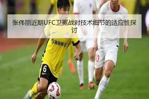 张伟丽近期UFC卫冕战对技术细节的适应性探讨